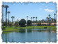 palm-valley-views