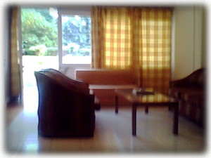 Living room opening into a courtyard