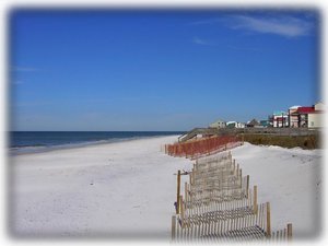 Looking north up the beach