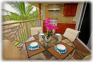 Viking BBQ on your lanai