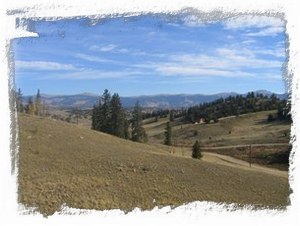 Private Lot, Great Views!