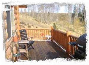 Large Deck, Picnic Tables and Grill