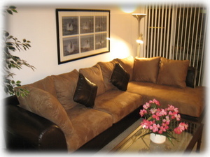 Spacious living room with TV, Internet,Stereo