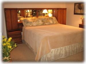 Master Bedroom with King size bed and private bathroom