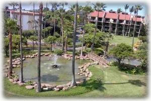 Ponds & Fountains