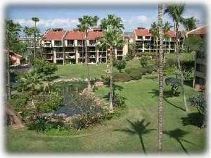 Lush Tropical Gardens