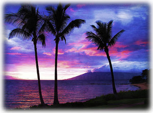 Gorgeous Maui Sunsets