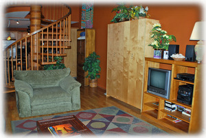 Living Area & Murphy Bed
