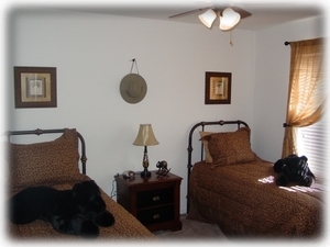HOUSE GAME ROOM