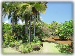 Secluded garden with many flower trees