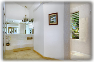 Walk in spiral shower and bath tub