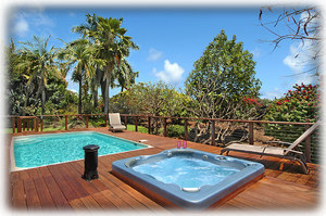 Private pool/spa in the back lanai