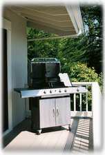  Gourmet Gas Grill with Side Burner on Deck
