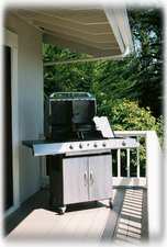 Gourmet Gas Grill with Side Burner on Deck