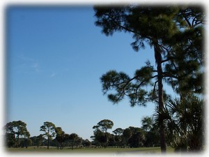 Sabal Trace Golf Course