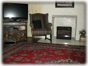 HDTV, Cozy Electric Fireplace, Oriental Carpet