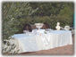 Wedding at Villa Cuiano