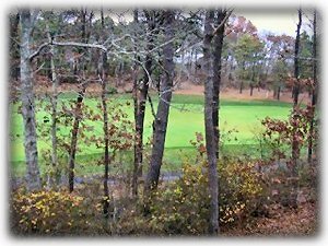 Watch the Golfers on the 12th Hole