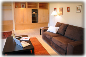 Queen sofa bed, built-in cabinets with media