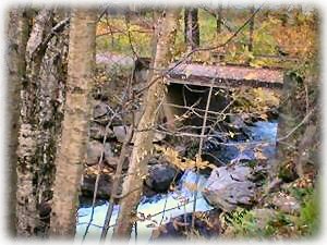 Gentle brook with trout at base of property