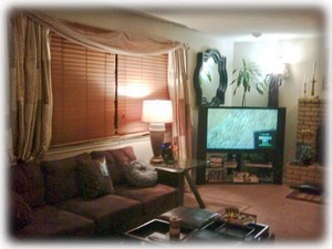 Living Room with Big Screen TV Fireplace