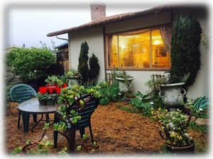 Front yard
