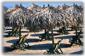 Relax under the palapas at beach bistros on Los Muertos Beach