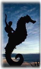The famous Puerto Vallarta Seahorse bids Vaya Con Dios!