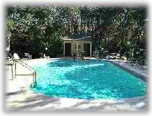 Pool nestled in live oaks