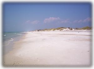 Voted #1 beach in USA!  Pet Friendly, uncrowded!