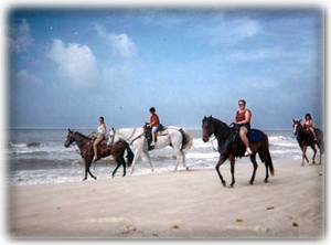 Horsebackriding on the beach is AWESOME!