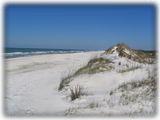 The beautiful dunes on St. Joseph Peninsula!