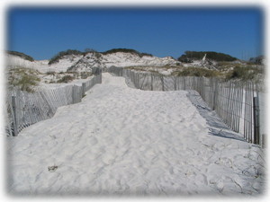 St. Joseph State Park, next to Barrier Dunes!