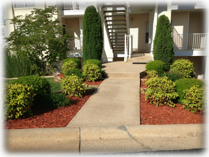 The curb + 2 steps on the sidewalk. No other steps.