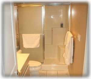 The guest bathroom's shower stall.