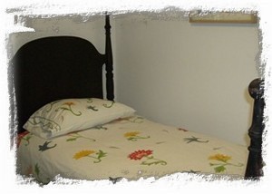 This lower level bedroom twin bed was owned and used by Tybee's 1st Mayor!