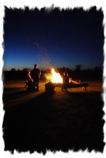 Gorgeous night sky at log cabin