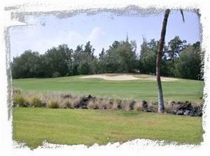 15th Fairway view from the Living Room