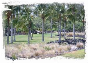 Golf front view from the master bedroom balcony