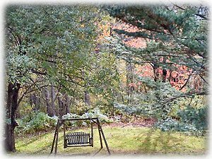 Under the apple tree