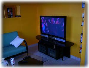 Family Room 50" Plasma