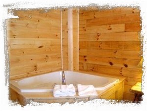 Jacuzzi tub in Master Bedroom