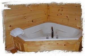 Jacuzzi in master bedroom