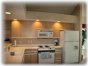 View of fully stocked kitchen, just bring your food.