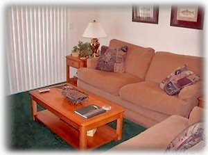 View of Living Room Furniture and Queen Sofa Sleeper