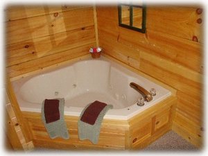 Jacuzzi in Master Bedroom