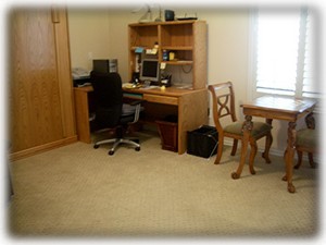 Den With Desk