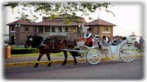 Carriage Rides