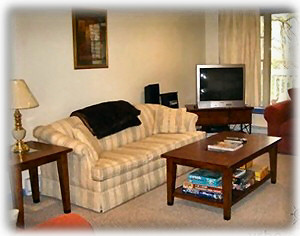Basement Family Room with Large Picture Window and GameCube w/games