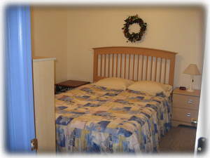 Downstairs Bedroom with Queen Bed